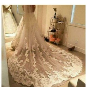 Wedding Bridal Veil With Comb, White Cathedral Length With Appliques
